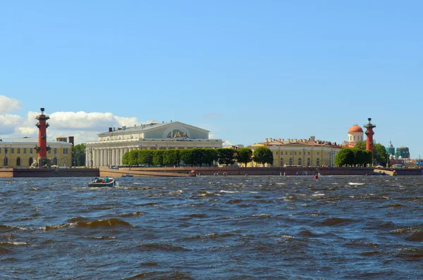 Rusia, San Petersburgo, Arrow Vasilevsky Island, Rostral Colum —  Fotos de Stock