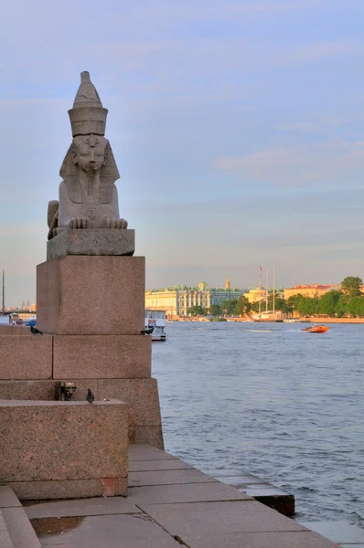 Rusko, Petrohrad, žulové Sfingy — Stock fotografie