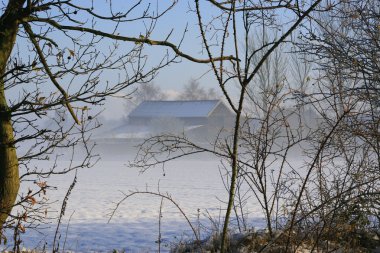 Misty Barn