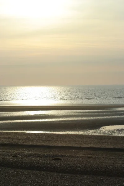 stock image Sepia Sunset