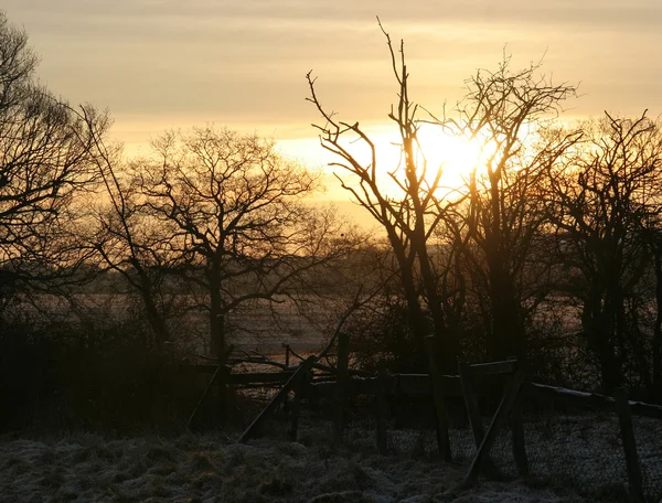 Winter sunrise, — Stock Photo, Image