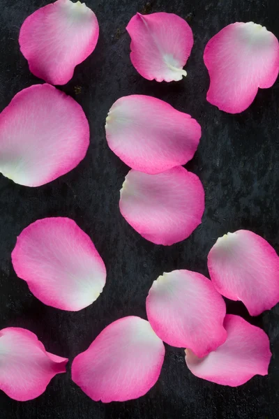 Pétalos de rosa en pizarra —  Fotos de Stock