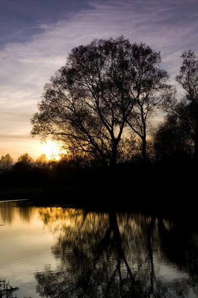 stock image River Sunset 4