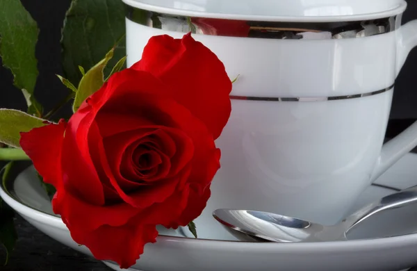 Rose und Kaffeetasse — Stockfoto