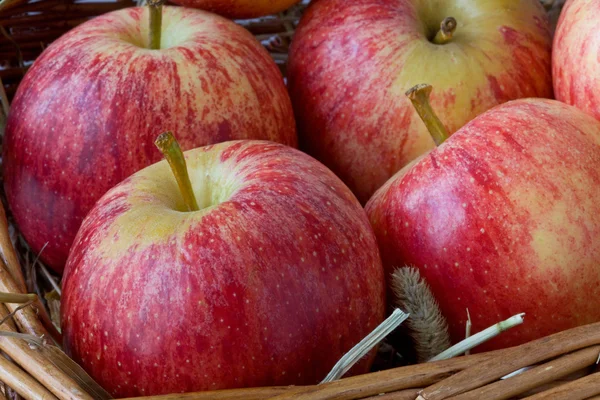 stock image Close up of Red Apples