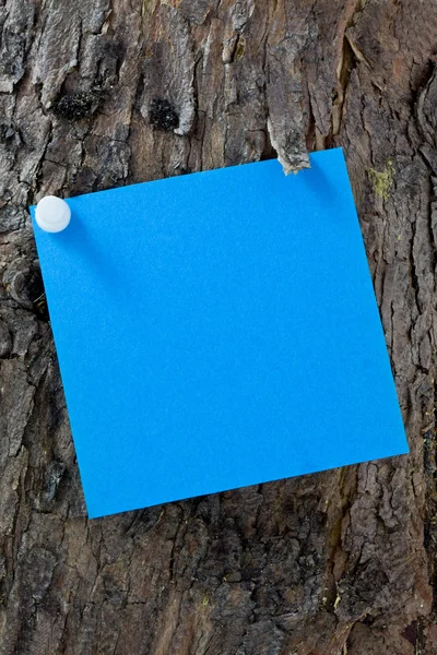 Blue Post - it on a Tree – stockfoto