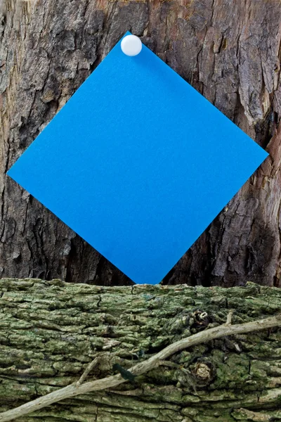 Blue Post - it on a Woodpile – stockfoto