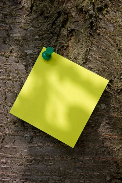 Gelber Post-it auf einem Baumstamm — Stockfoto