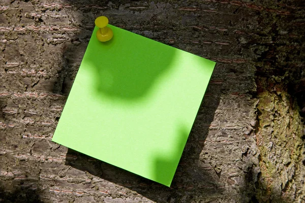 Post-it verde su un tronco d'albero — Foto Stock