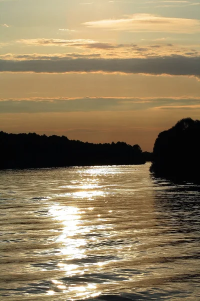 stock image River forest sunset