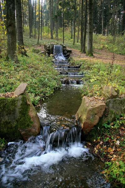 Agua de origen forestal — Foto de Stock