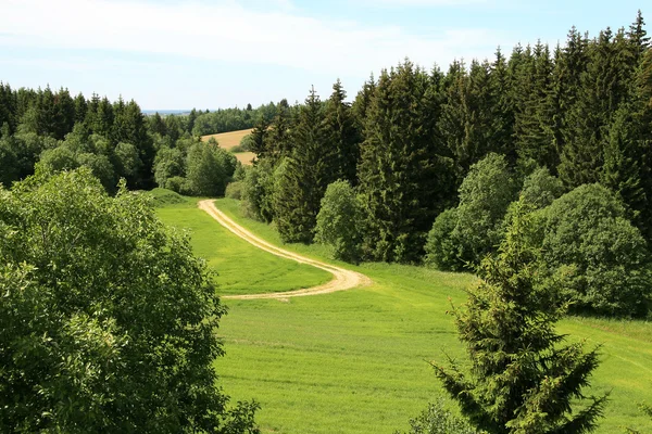 Schmutziger Waldweg Stockfoto