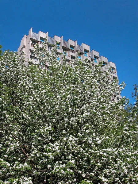 stock image Spring apple-tree house