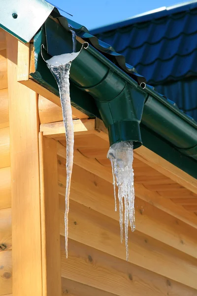 stock image Spring icicle