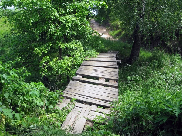 stock image Bridge