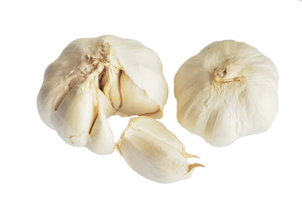 Bawang putih — Stok Foto