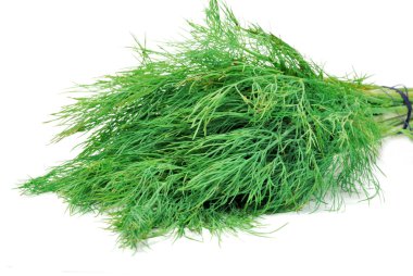 Dill clipart