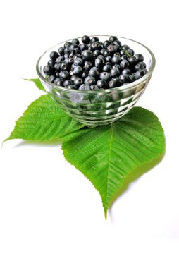 Bilberry clipart