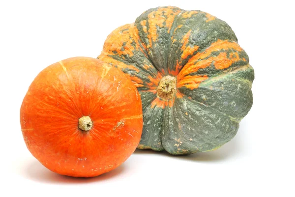 Зеленые и оранжевые тыквы — стоковое фото