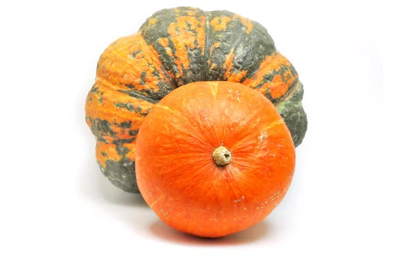 緑とオレンジ色のカボチャ — ストック写真