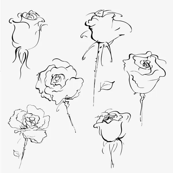 Ručně kreslenou vektorové skica růží — Stockový vektor