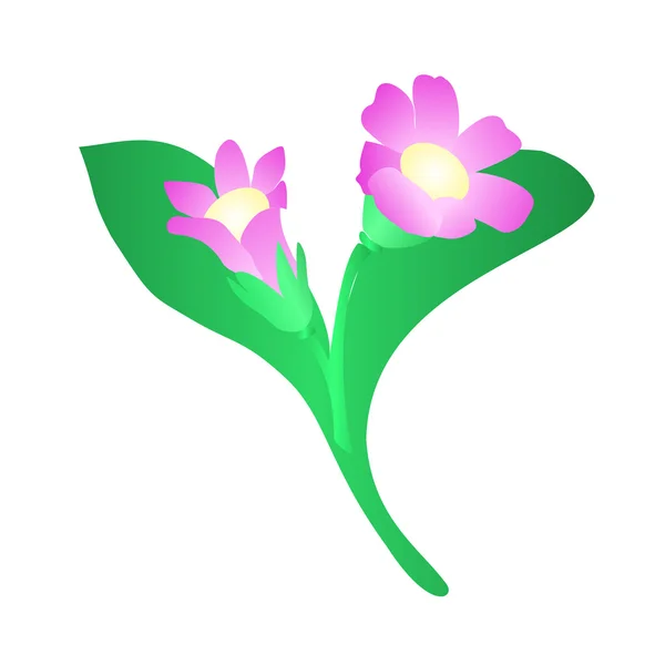 Blomma — Stock vektor