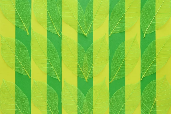 Background of leaves — Stock Photo, Image