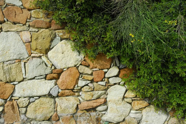 Steinmauer im Garten — Stockfoto