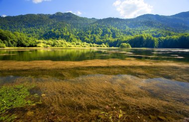 Biogradsko Lake in Montenegro clipart