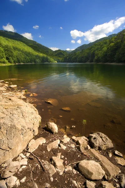 Stock image Biogradsko Lake in Montenegro