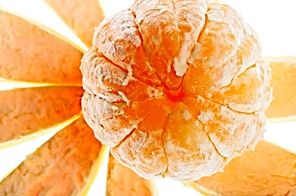 Duża pomarańcza — Zdjęcie stockowe
