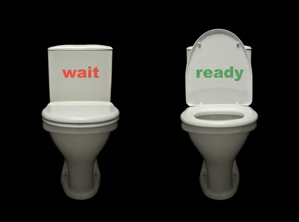Två positioner i toaletten pan — Stockfoto