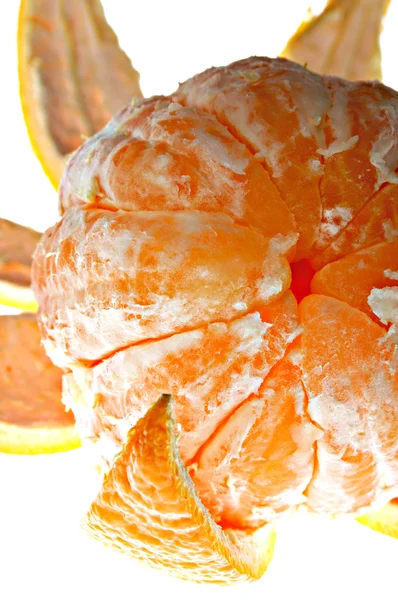 Apelsiner Stockbild