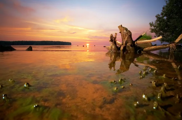 Belo pôr-do-sol colorido — Fotografia de Stock