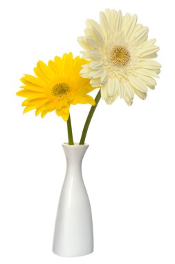 Bouquet of gerbera clipart