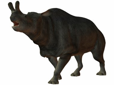 Brontotherium