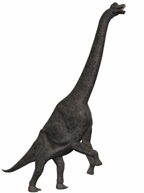 Brachiosaurus-3D Dinosaur clipart