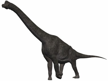 Brachiosaurus-3d dinazor