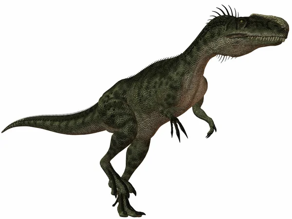 Dinosaure monolophosaurus-3D — Photo