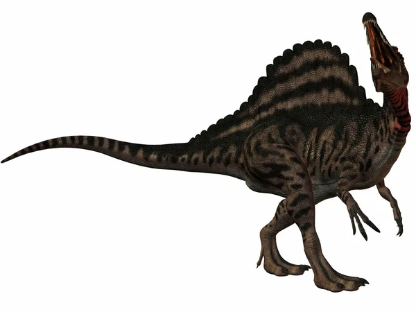 A Spinosaurus-3d dinoszaurusz — Stock Fotó
