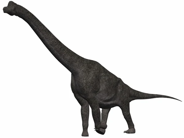 stock image Brachiosaurus-3D Dinosaur