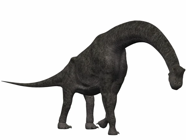 Βραχιόσαυρος-3d δεινόσαυρος — Φωτογραφία Αρχείου