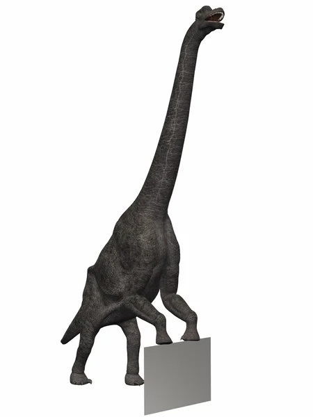 Dinossauro braquiossauro-3D — Fotografia de Stock