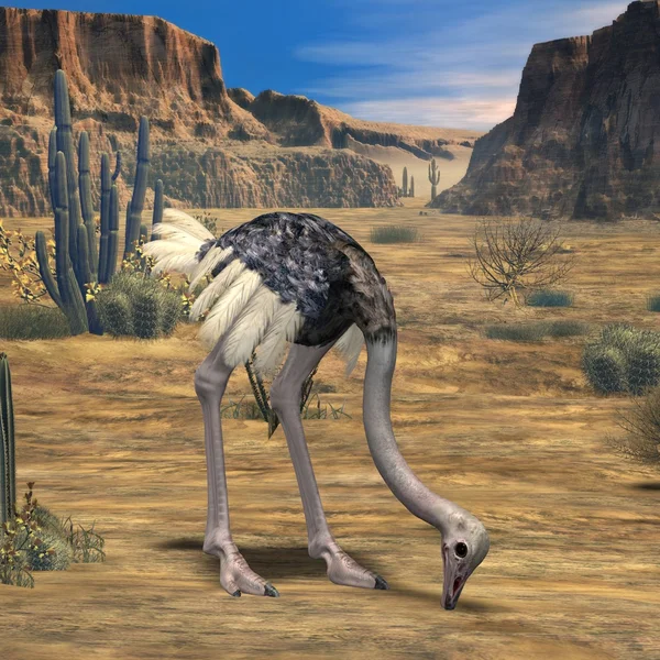 Ostrich-3D Animal — Stock Photo, Image