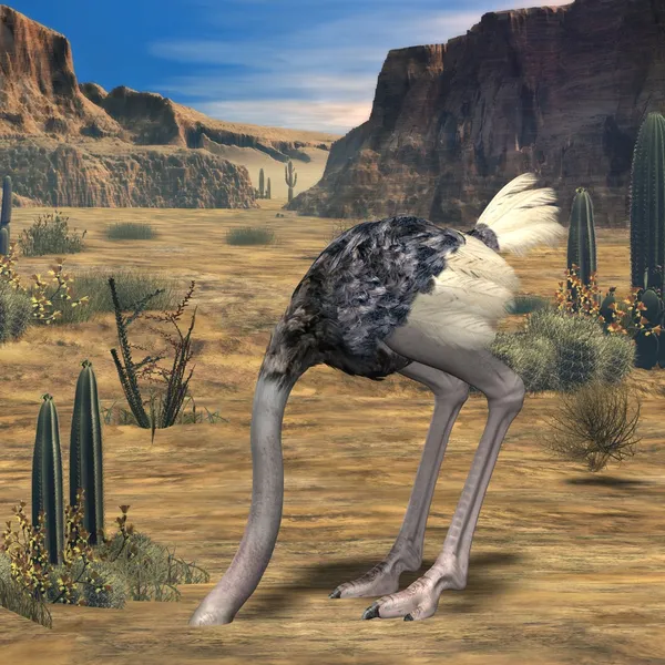 Avestruz-3D Animal — Fotografia de Stock