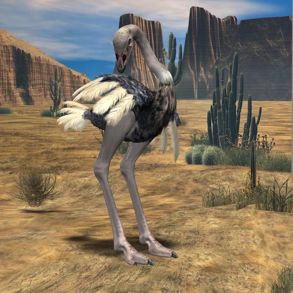 Avestruz-3D Animal — Fotografia de Stock