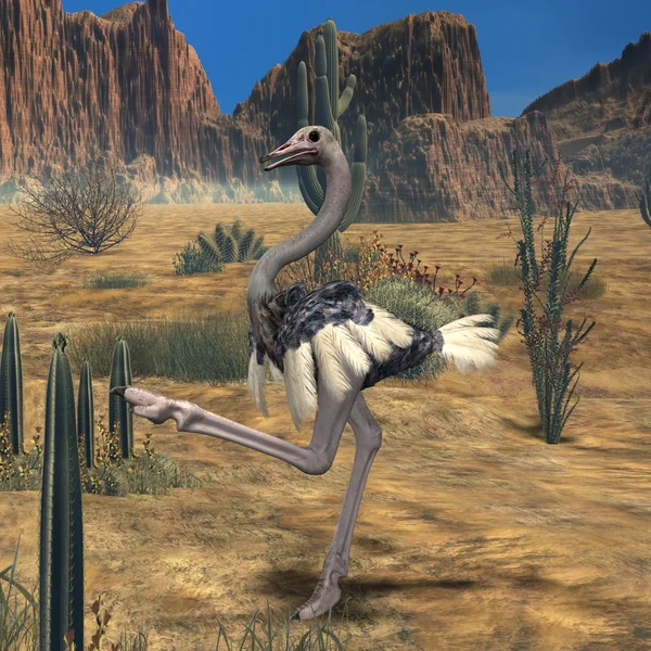 Ostrich-3D Animal Royalty Free Stock Images