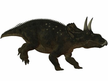 diceratops-3d dinazor