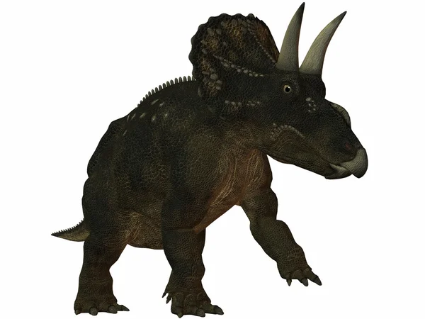 Diceratops 3d 恐龙 — 图库照片