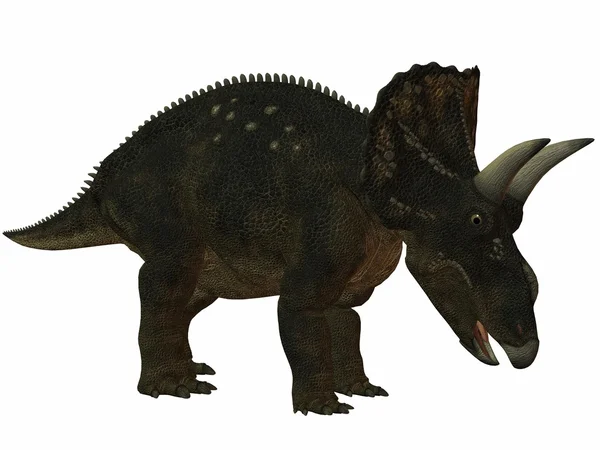 Diceratops-3d динозавра — стокове фото